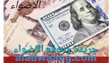 صورة بعد آخر انخفاض.. سعر الدولار أمام الجنيه المصري اليوم السبت 20 أبريل 2024