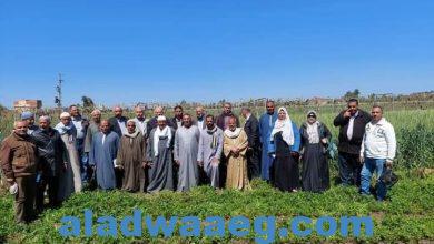 صورة الزراعة: 823 باحثا وخبيرا فنيا ومرشدا زراعيا يشاركون في الفرق الإرشادية الريفية خلال شهر مارس في 23 محافظة