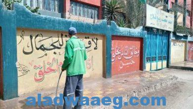 صورة إستمرار تكثيف حملات النظافة والتجميل للإرتقاء بالشكل الحضاري والجمالى لشوارع الشرقية