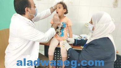 صورة صحة المنيا توقع الكشف بالمجان على 1651 حالة خلال قافلة طبية بقرية الخيارى بمركز ابوقرقاص