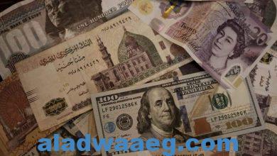 صورة مصر تتصدى للأموال الساخنة عبر تكتيكات تؤشر لخفض متوقع في أسعار الفائدة