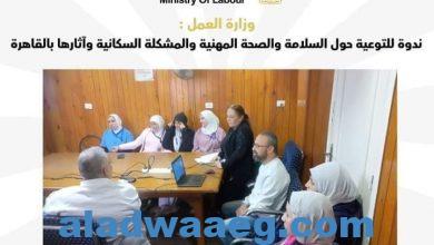 صورة وزارة العمل : ندوة للتوعية حول السلامة والصحة المهنية والمشكلة السكانية وآثارها بالقاهرة