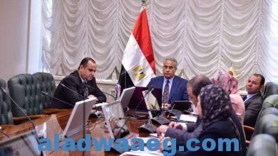 صورة شحاتة: مصر داعمة للأشقاء العرب في كل خطط التنمية والعمل العربي المُشترك..