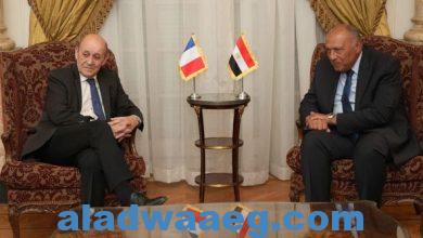 صورة وزير الخارجية يستقبل المبعوث الرئاسي الفرنسي إلى لبنان