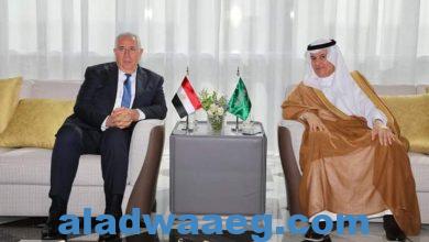 صورة وزيرا الزراعة في مصر والسعودية يبحثان التعاون المشترك بين البلدين