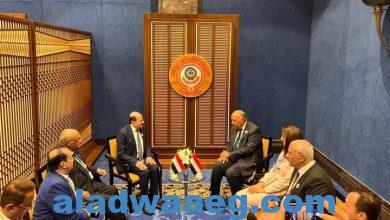 صورة شكري يلتقي وزير الخارجية اليمني في المنامة