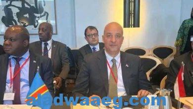 صورة مساعد وزير الخارجية يشارك في افتتاح مؤتمر وزراء خارجية الدول الإفريقية والنوردية بكوبنهاجن