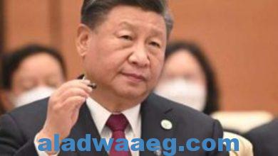 صورة الرئيس الصيني: وقف إطلاق النار في غزة مهمة ملحة