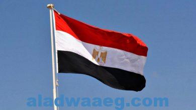 صورة برلماني يكشف عن تفاصيل قرار الداخلية بشأن تقنين أوضاع الأجانب في مصر
